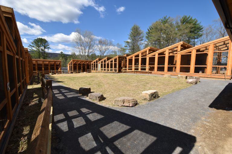 Shaver_Creek_Raptor_Center-PennStateUni